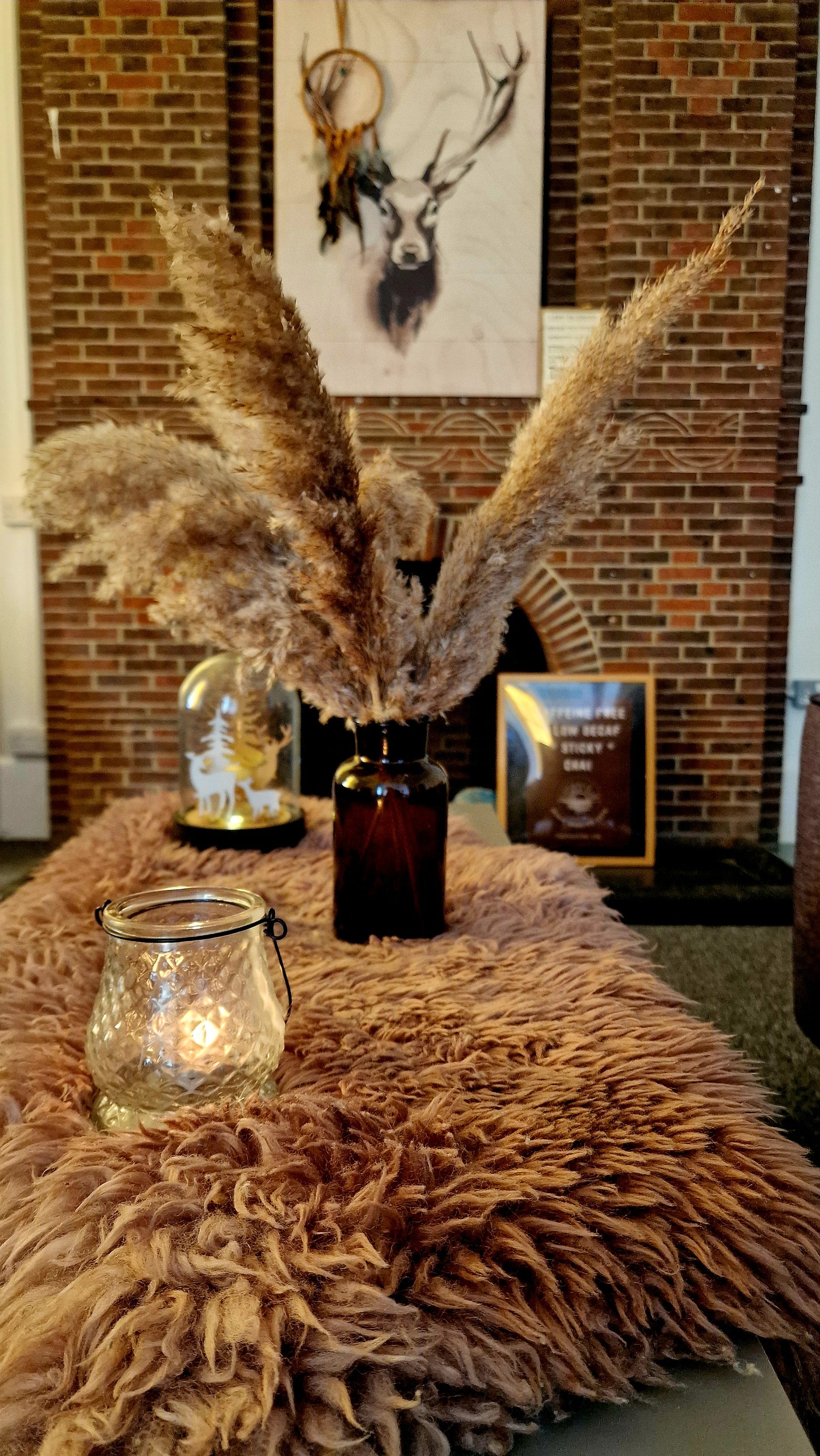 The Enchanted Chai Sanctuary